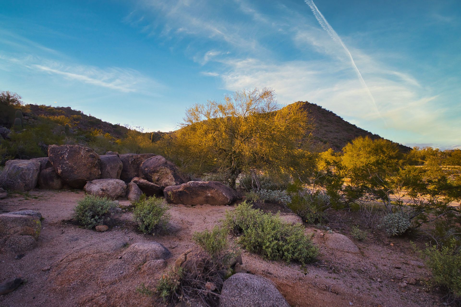 Palo verde trees and boulders in the Sonoran Desert north of Phoenix